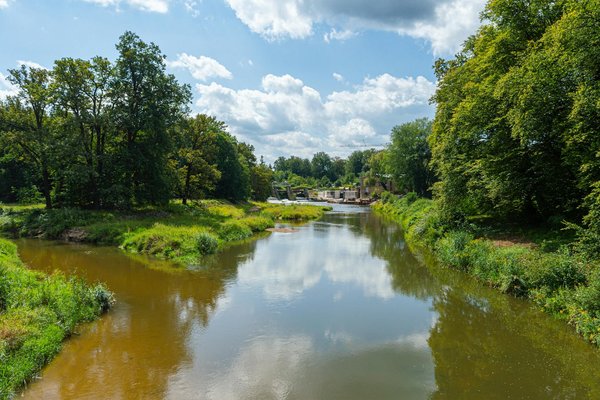 Explorez l'Avenir de l'Ergothérapie : Innovations et Tendances Révolutionnaires à Ne Pas Manquer